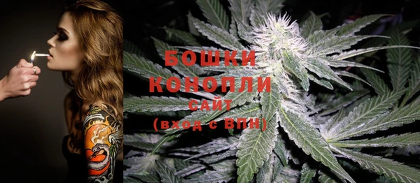 первитин Осинники