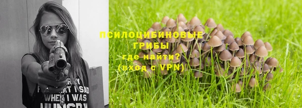 спайс Сосновый Бор