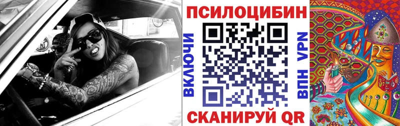 сайты даркнета официальный сайт Кораблино Галлюциногенные грибы Psilocybe